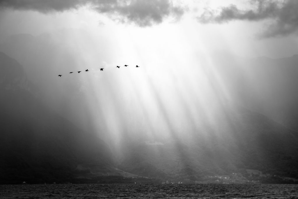 &Eacute;manations &ndash; voile lumineux diffus apparaissant sur une surface sombre et textur&eacute;e, photographie de Joseph Emile