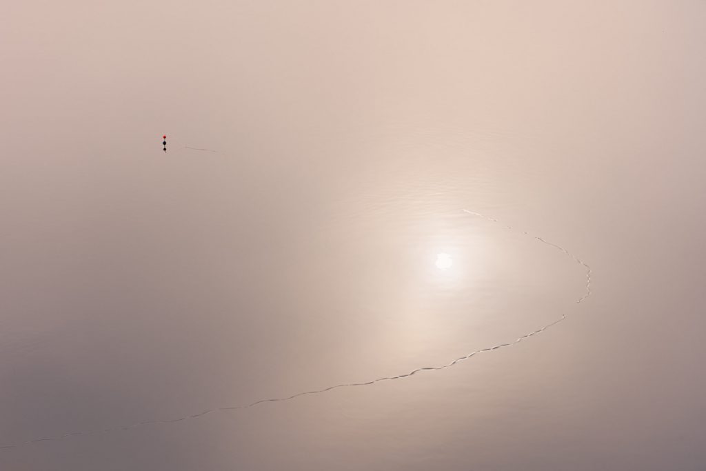 Essence &ndash; fil de p&ecirc;che fin reposant sur une surface d&rsquo;eau, photographie de Joseph Emile