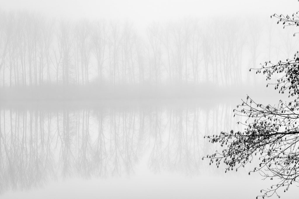 Irruption &ndash; reflet d&rsquo;un rang d&rsquo;arbres partiellement masqu&eacute; par la brume &agrave; la surface de l&rsquo;eau, photographie de Joseph Emile