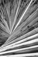 Nuances – textures et variations lumineuses sur surface naturelle en composition abstraite, photographie Joseph Emile